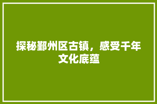 探秘鄞州区古镇，感受千年文化底蕴