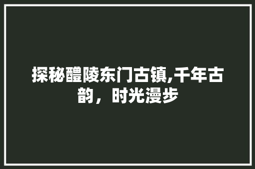 探秘醴陵东门古镇,千年古韵，时光漫步  第1张