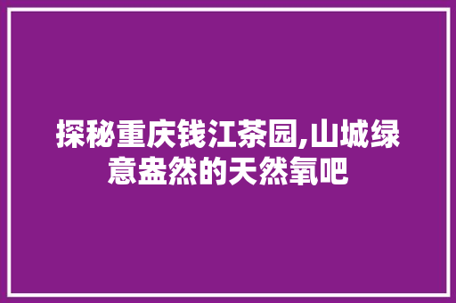 探秘重庆钱江茶园,山城绿意盎然的天然氧吧  第1张