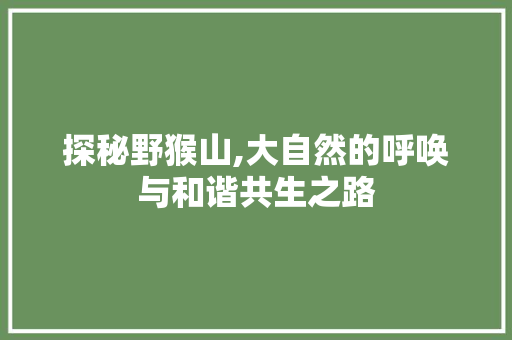 探秘野猴山,大自然的呼唤与和谐共生之路  第1张