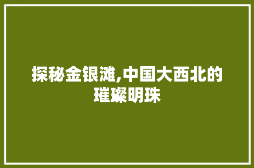 探秘金银滩,中国大西北的璀璨明珠  第1张