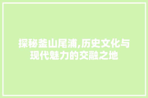 探秘釜山尾浦,历史文化与现代魅力的交融之地