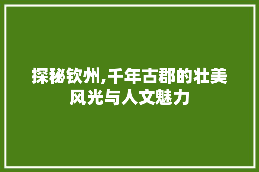 探秘钦州,千年古郡的壮美风光与人文魅力