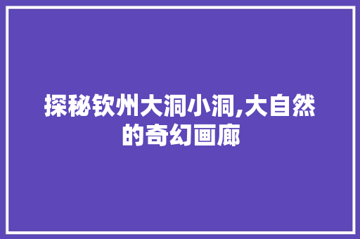 探秘钦州大洞小洞,大自然的奇幻画廊