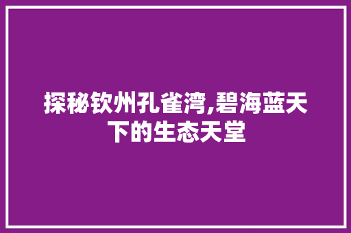 探秘钦州孔雀湾,碧海蓝天下的生态天堂