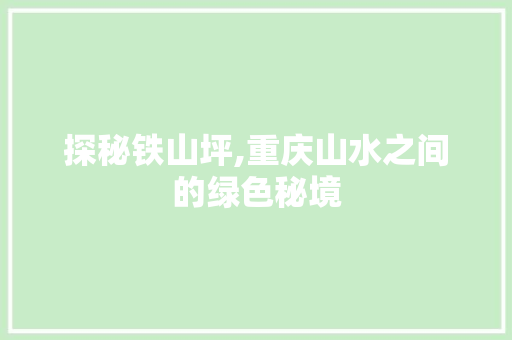 探秘铁山坪,重庆山水之间的绿色秘境  第1张