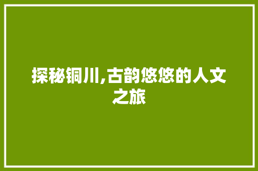 探秘铜川,古韵悠悠的人文之旅  第1张