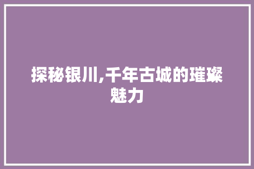 探秘银川,千年古城的璀璨魅力  第1张