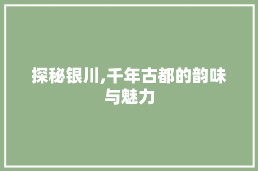 探秘银川,千年古都的韵味与魅力