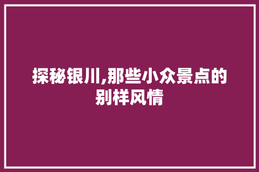 探秘银川,那些小众景点的别样风情