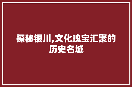 探秘银川,文化瑰宝汇聚的历史名城