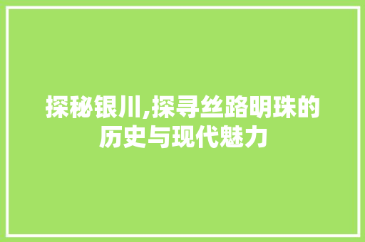 探秘银川,探寻丝路明珠的历史与现代魅力