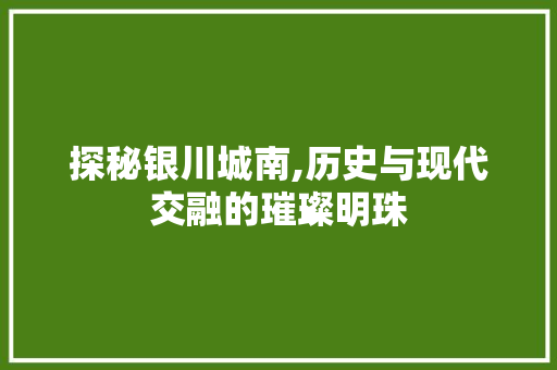 探秘银川城南,历史与现代交融的璀璨明珠