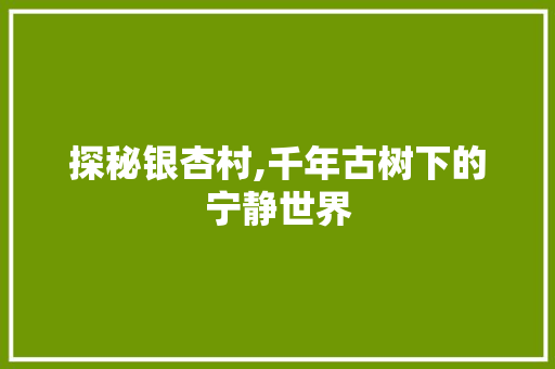 探秘银杏村,千年古树下的宁静世界