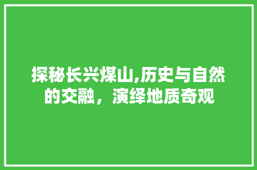 探秘长兴煤山,历史与自然的交融，演绎地质奇观