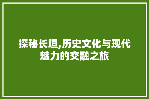 探秘长垣,历史文化与现代魅力的交融之旅  第1张