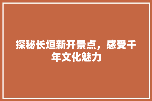 探秘长垣新开景点，感受千年文化魅力  第1张