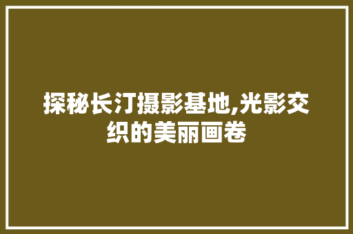 探秘长汀摄影基地,光影交织的美丽画卷