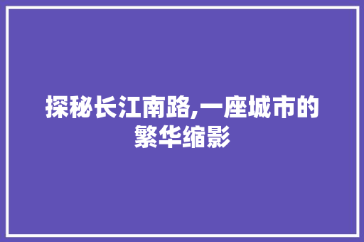 探秘长江南路,一座城市的繁华缩影