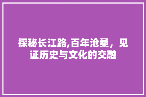 探秘长江路,百年沧桑，见证历史与文化的交融  第1张