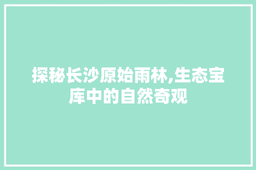 探秘长沙原始雨林,生态宝库中的自然奇观  第1张