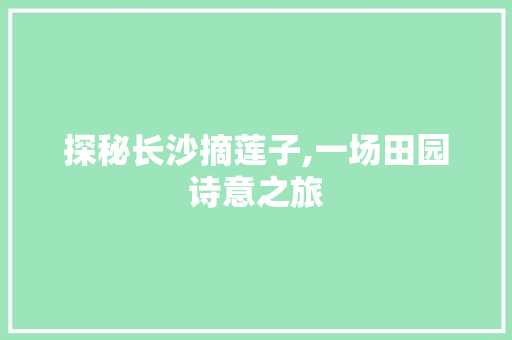 探秘长沙摘莲子,一场田园诗意之旅  第1张