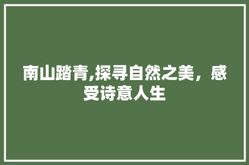 南山踏青,探寻自然之美，感受诗意人生  第1张