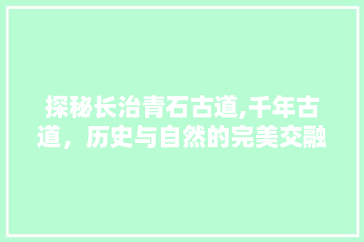 探秘长治青石古道,千年古道，历史与自然的完美交融