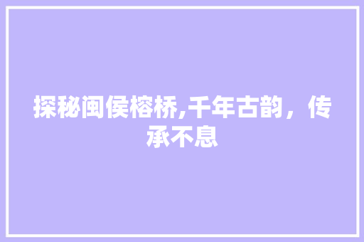 探秘闽侯榕桥,千年古韵，传承不息  第1张