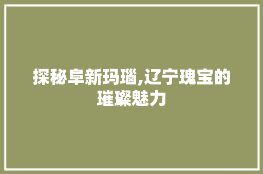 探秘阜新玛瑙,辽宁瑰宝的璀璨魅力  第1张