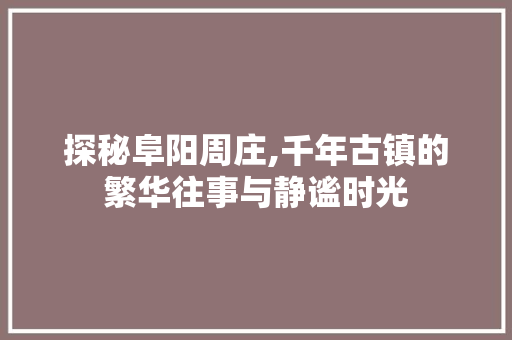 探秘阜阳周庄,千年古镇的繁华往事与静谧时光  第1张