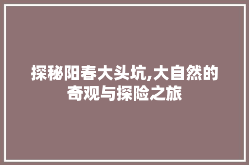 探秘阳春大头坑,大自然的奇观与探险之旅