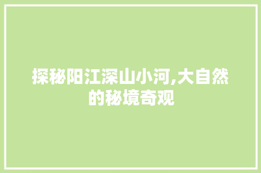 探秘阳江深山小河,大自然的秘境奇观