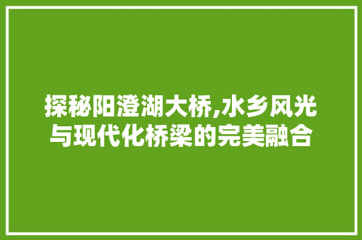 探秘阳澄湖大桥,水乡风光与现代化桥梁的完美融合