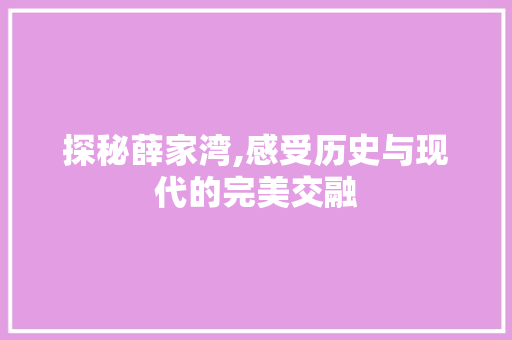 探秘薛家湾,感受历史与现代的完美交融