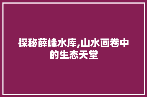 探秘薛峰水库,山水画卷中的生态天堂