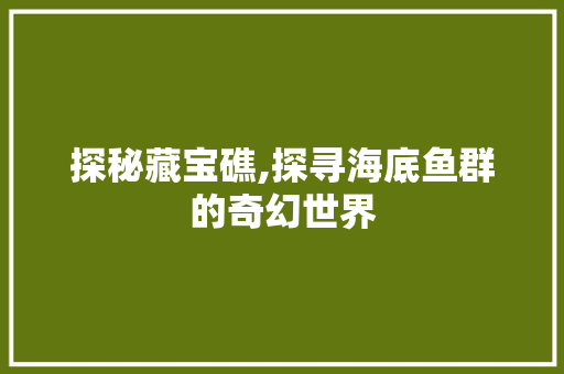 探秘藏宝礁,探寻海底鱼群的奇幻世界