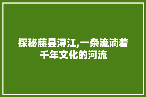 探秘藤县浔江,一条流淌着千年文化的河流  第1张