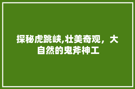 探秘虎跳峡,壮美奇观，大自然的鬼斧神工