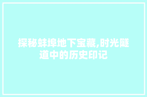 探秘蚌埠地下宝藏,时光隧道中的历史印记