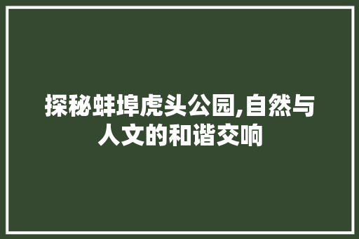 探秘蚌埠虎头公园,自然与人文的和谐交响