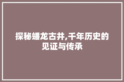 探秘蟠龙古井,千年历史的见证与传承  第1张