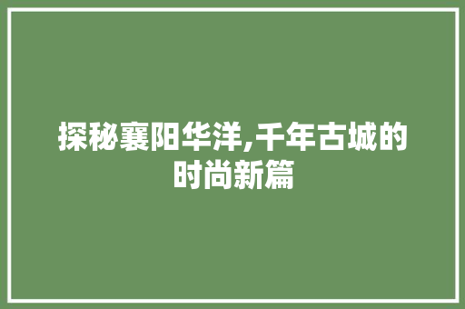 探秘襄阳华洋,千年古城的时尚新篇  第1张