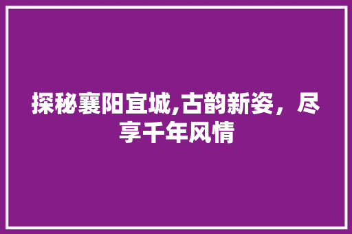 探秘襄阳宜城,古韵新姿，尽享千年风情