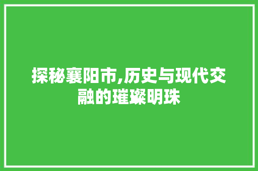 探秘襄阳市,历史与现代交融的璀璨明珠