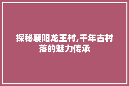 探秘襄阳龙王村,千年古村落的魅力传承