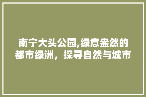 南宁大头公园,绿意盎然的都市绿洲，探寻自然与城市的和谐共鸣  第1张