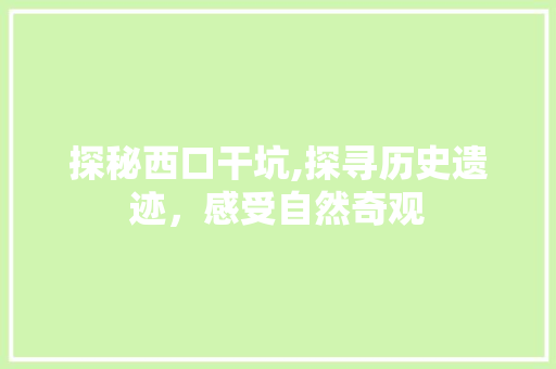 探秘西口干坑,探寻历史遗迹，感受自然奇观