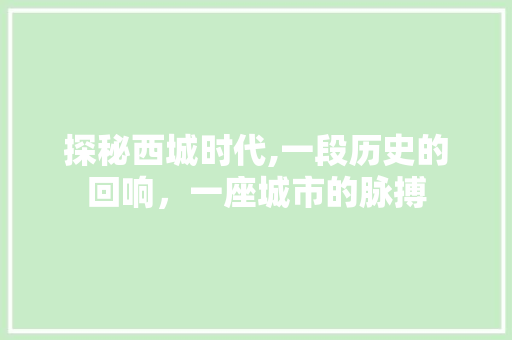 探秘西城时代,一段历史的回响，一座城市的脉搏