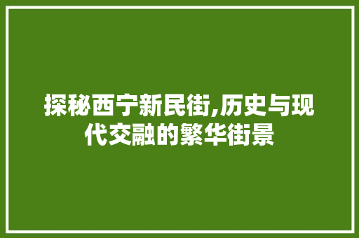 探秘西宁新民街,历史与现代交融的繁华街景